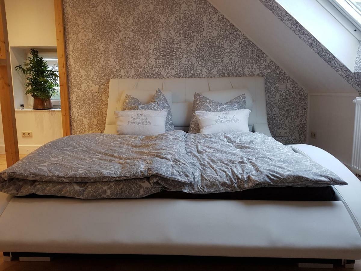 Zucht- Und Ausbildungsstall Rubly Apartment Kleinbundenbach Екстериор снимка