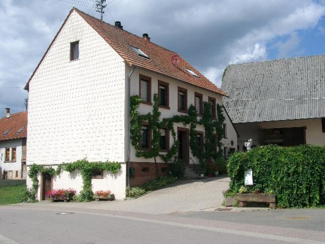 Zucht- Und Ausbildungsstall Rubly Apartment Kleinbundenbach Екстериор снимка